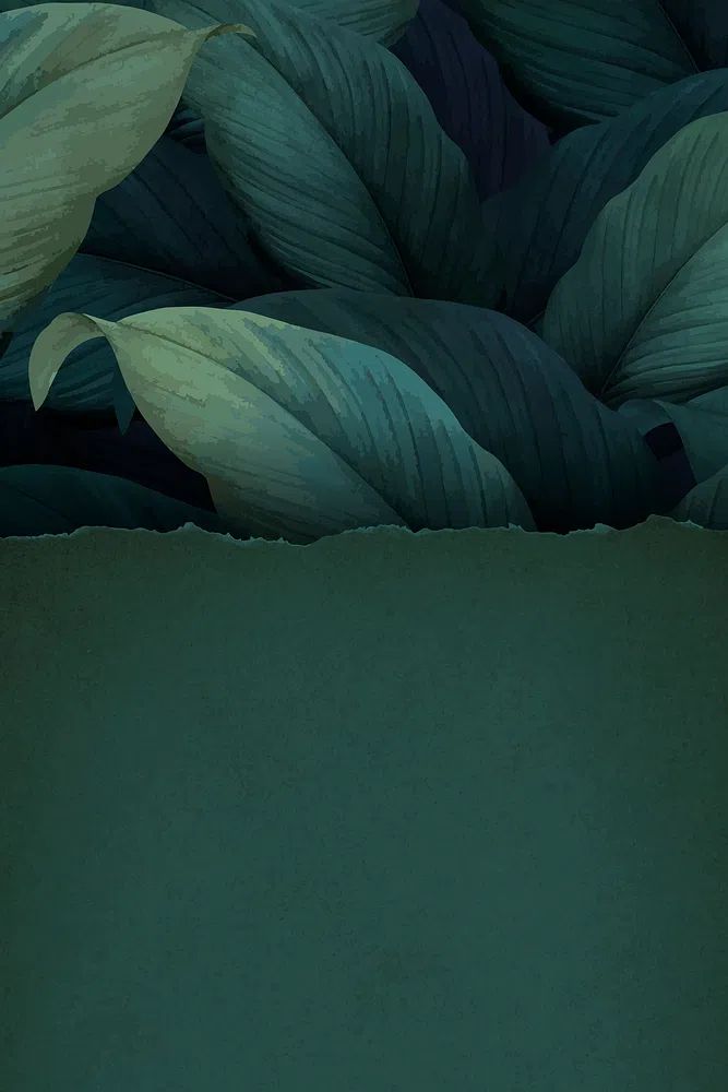 Torn green paper tropical leaf. poster detail