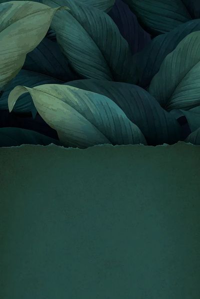 Torn green paper tropical leaf.
