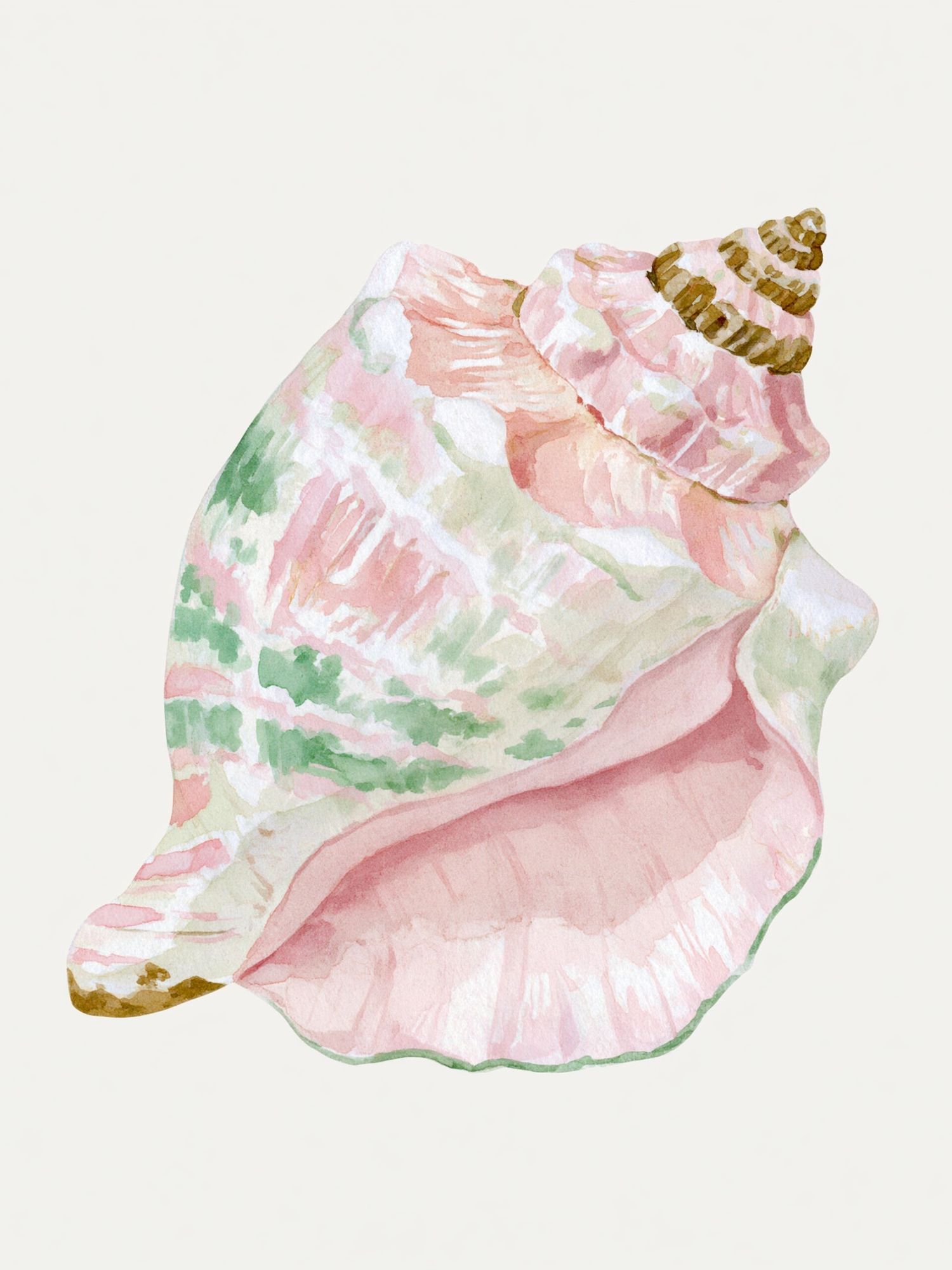 Pastel Seashell Watercolor Print. poster detail