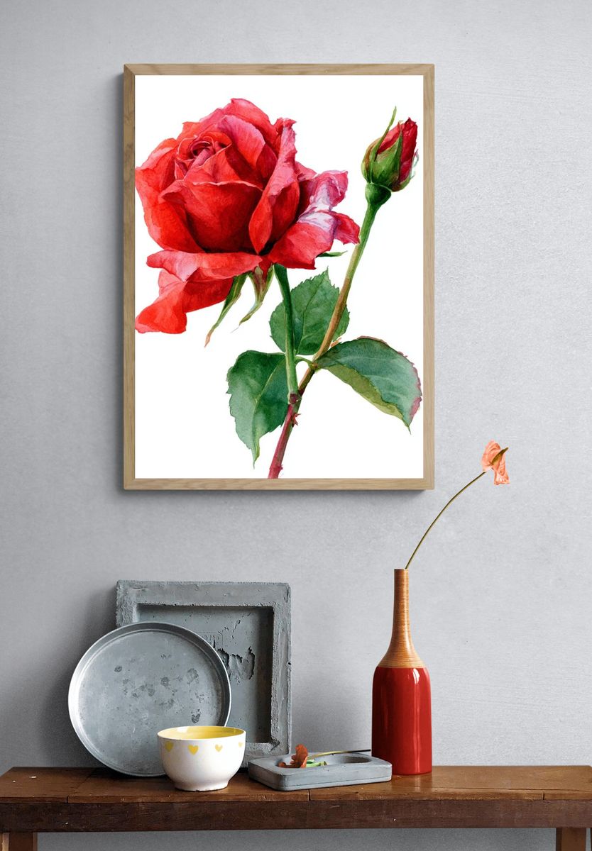 Red Rose Watercolor Poster. — room view 3