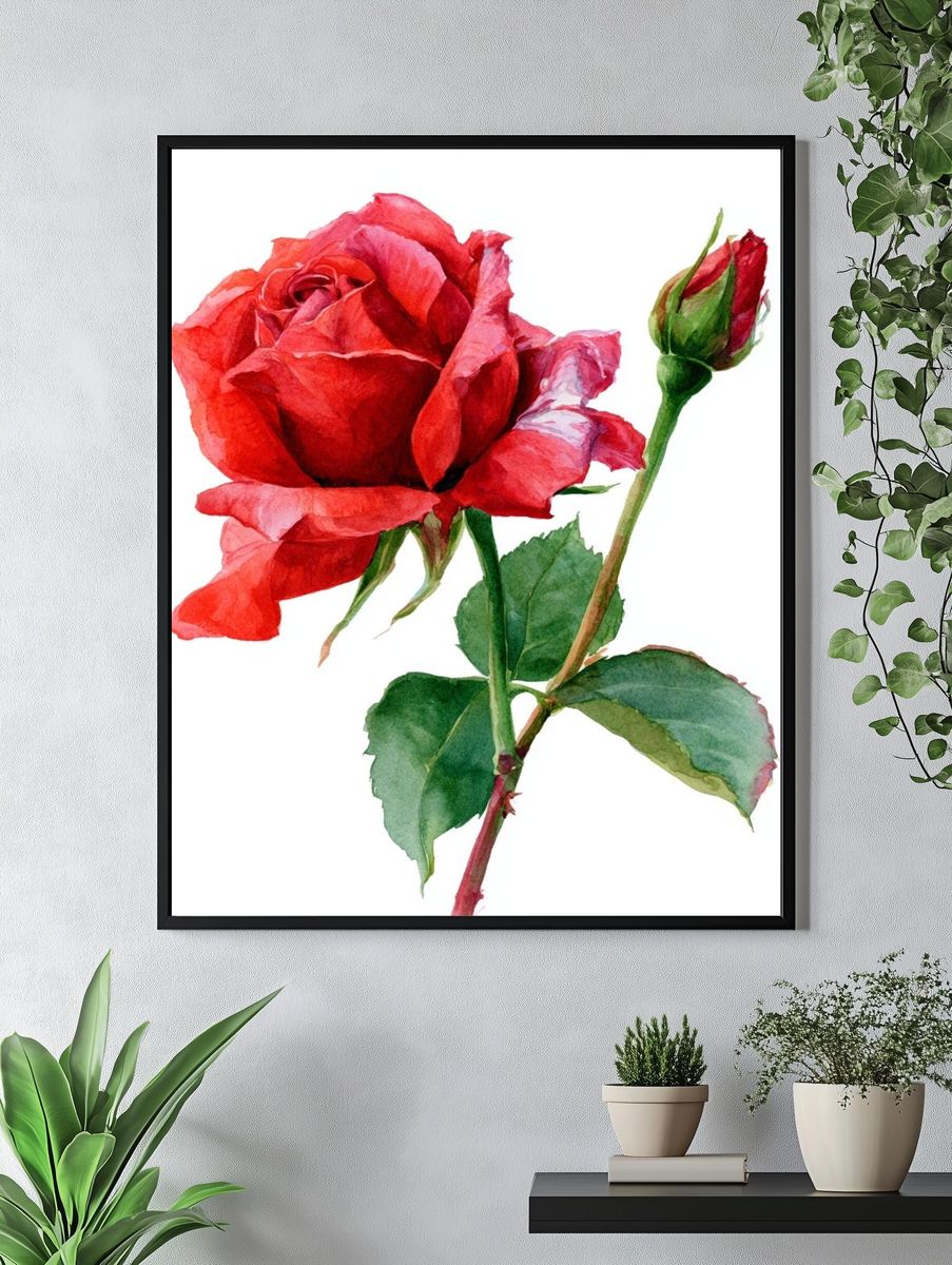 Red Rose Watercolor Poster. — room view 4