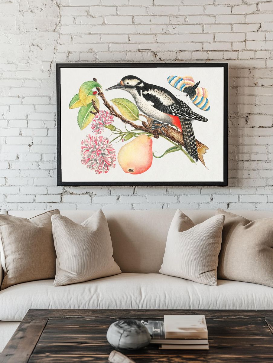 18th century illustration bird perched. room preview