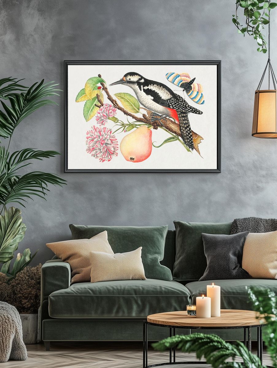 18th century illustration bird perched. — room view 4