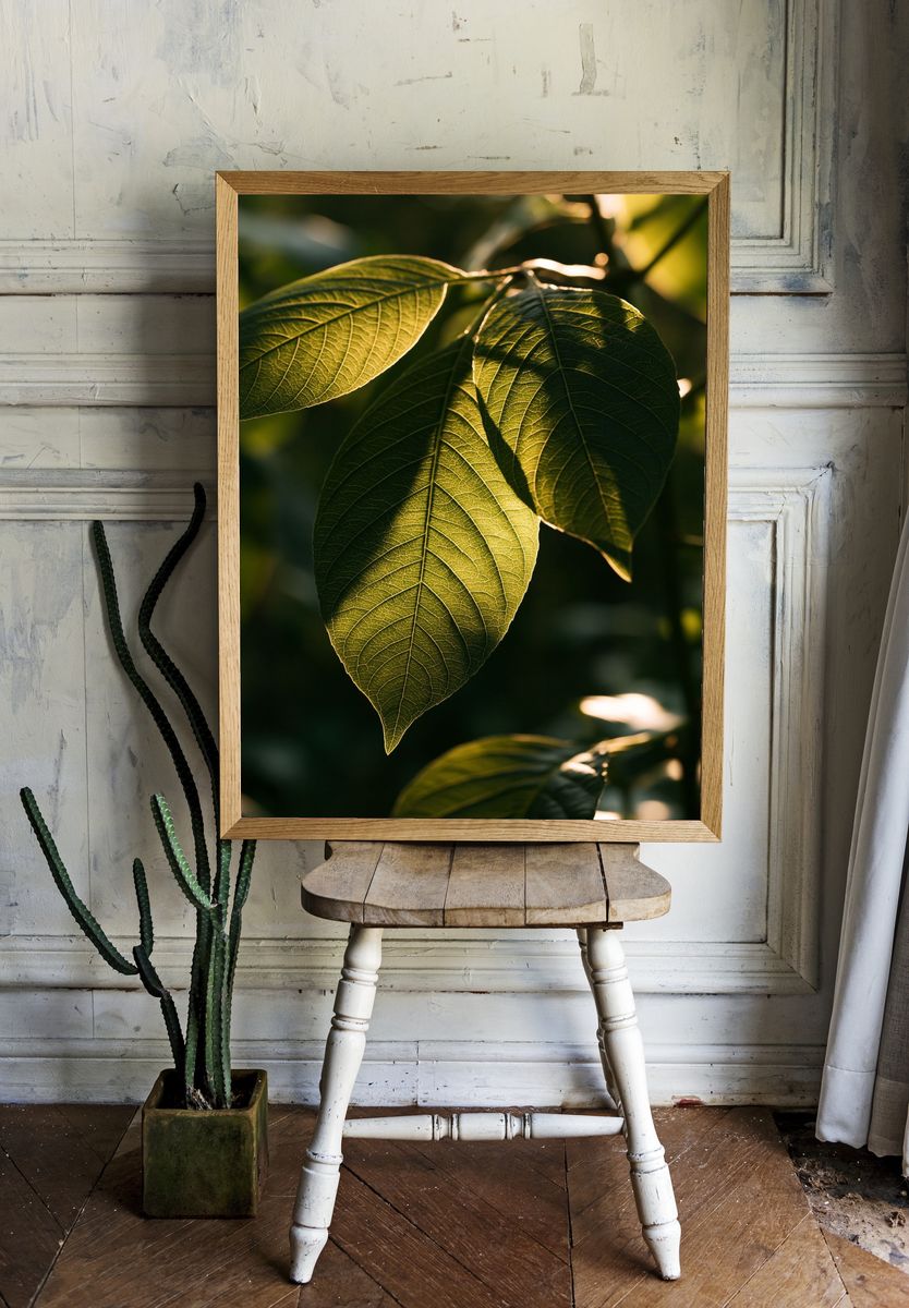 Sunlit Green Leaves Botanical Print. — room view 1