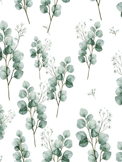 Eucalyptus Sprigs Watercolor Print. poster