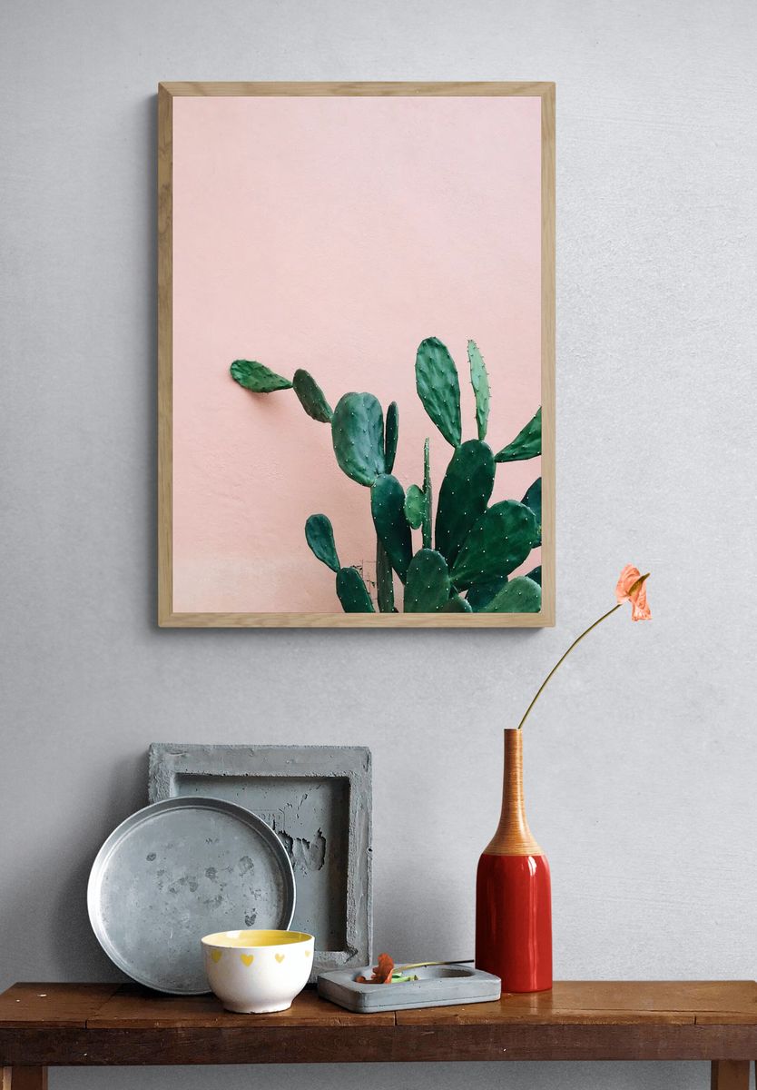 Opuntia Cactus pink wall. — room view 3