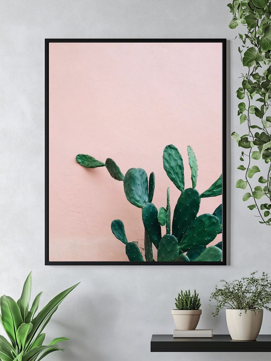Opuntia Cactus pink wall. — room view 4
