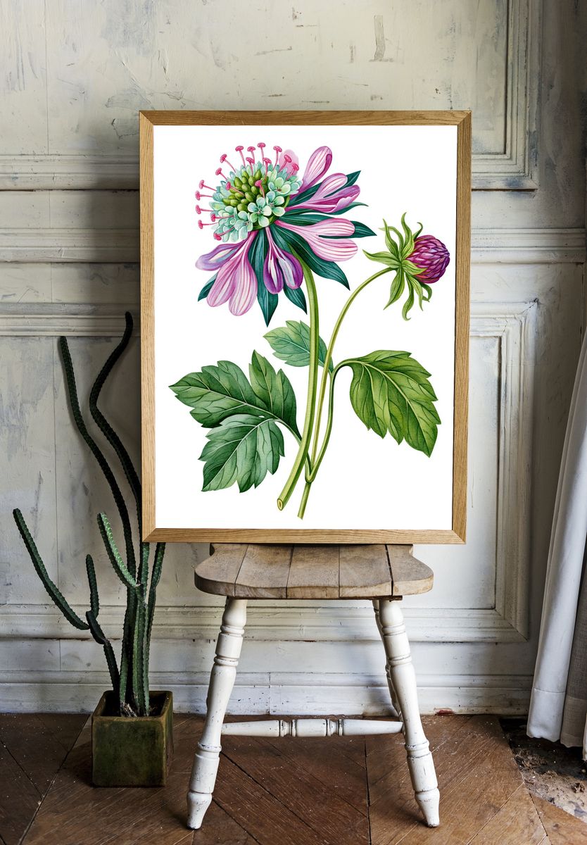 Pink Wildflower Botanical Poster. room preview