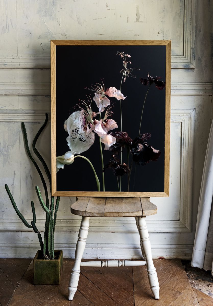 Dark Floral Still Life Photography Poster. room preview