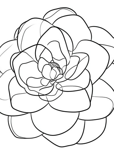 Abstract Flower Line Art Poster.