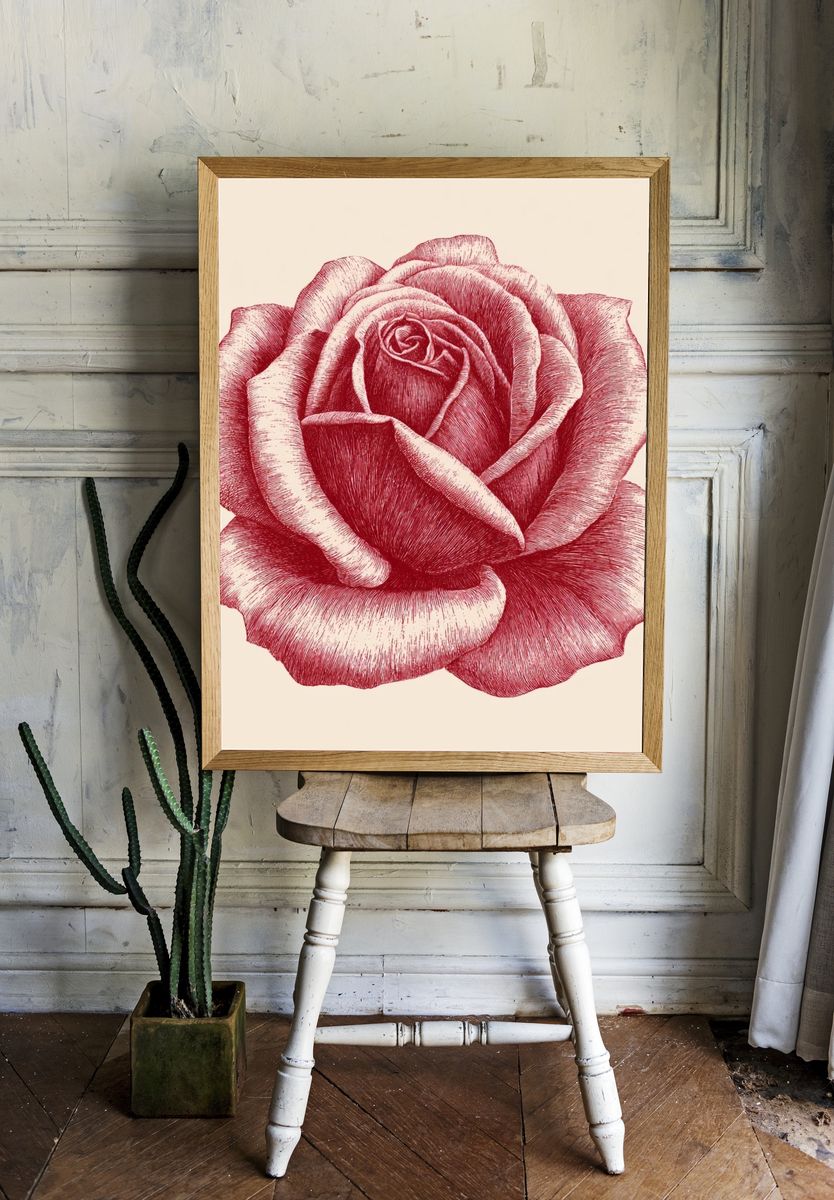 Red Rose Botanical Print. room preview