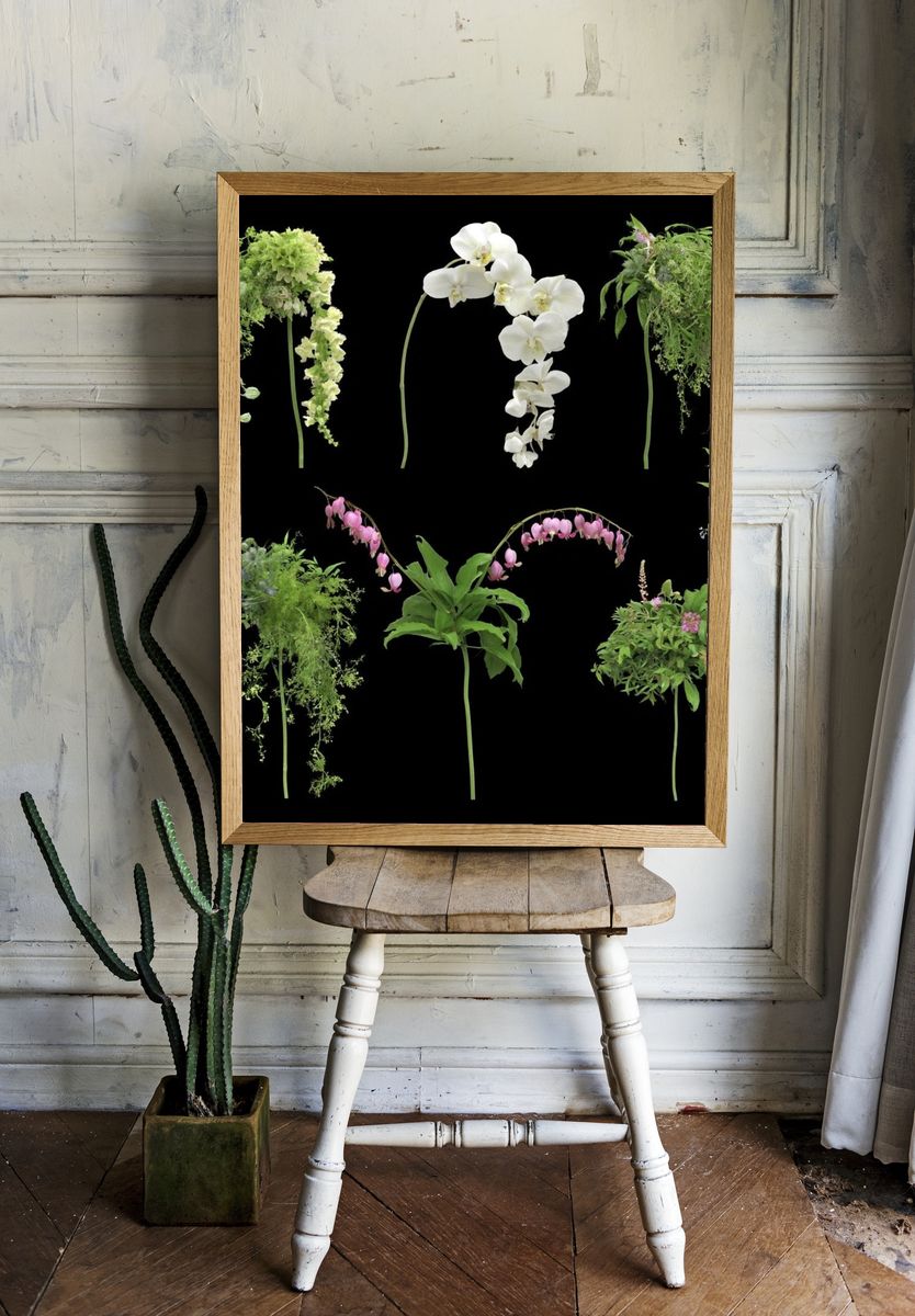 Botanical Floral Study Poster. — room view 1