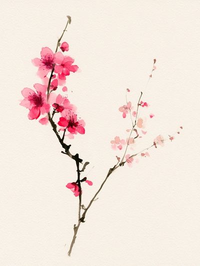 Cherry Blossom Watercolor Print.