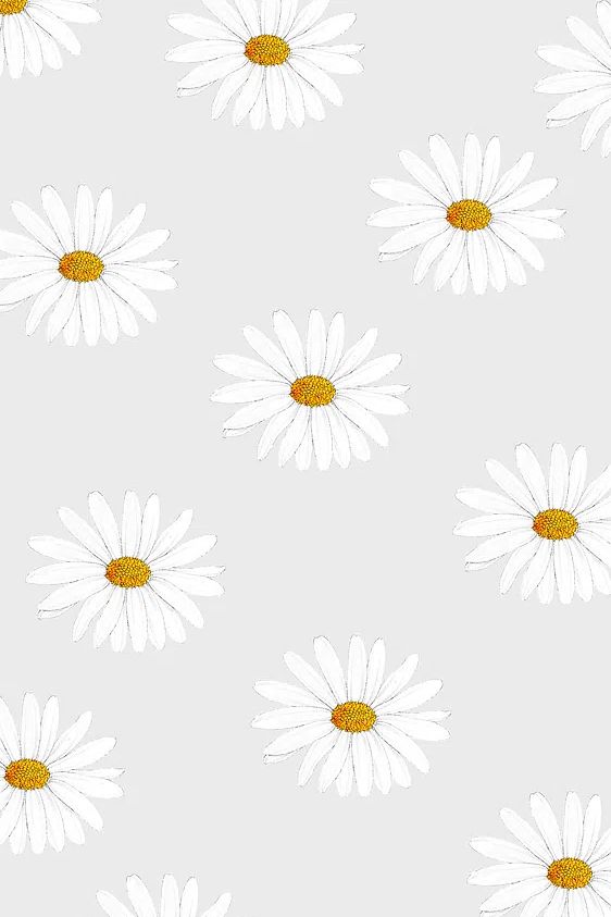 Hand drawn white flower patterned. poster — botanical art