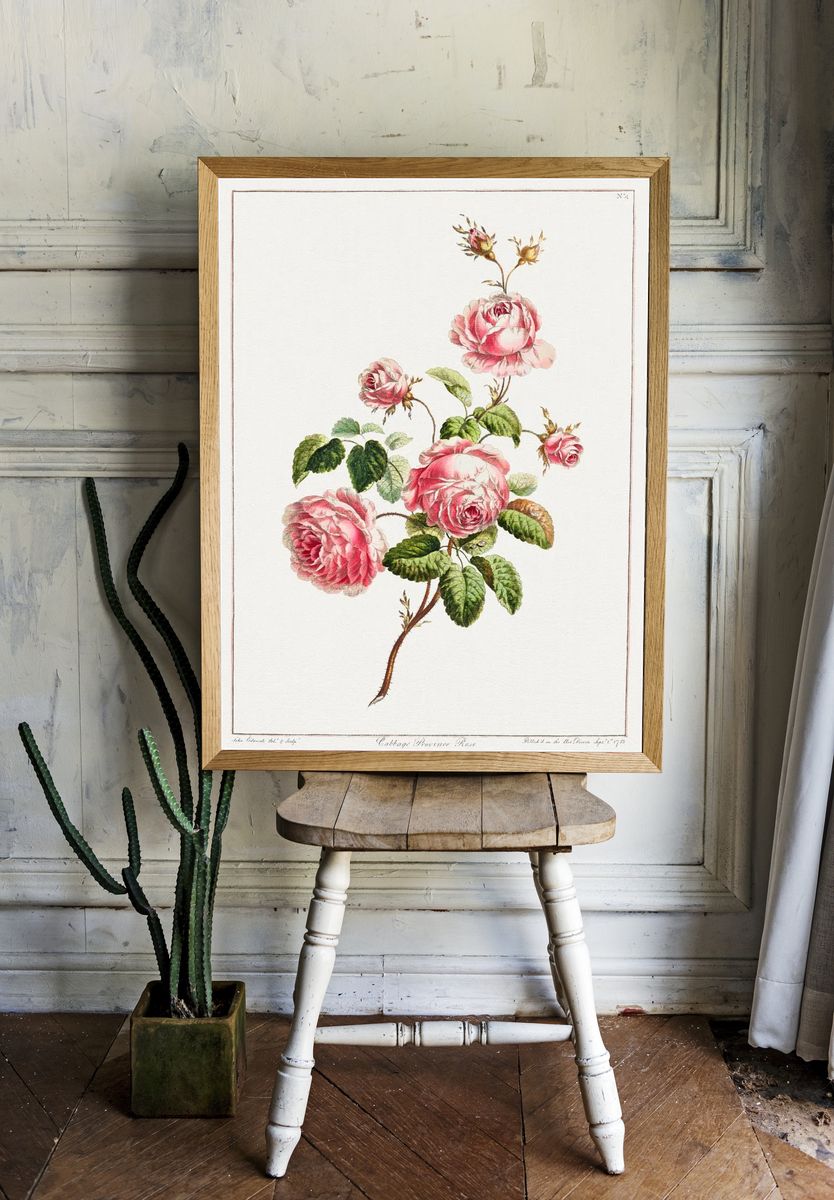 Collection Flowers Drawn Nature. room preview