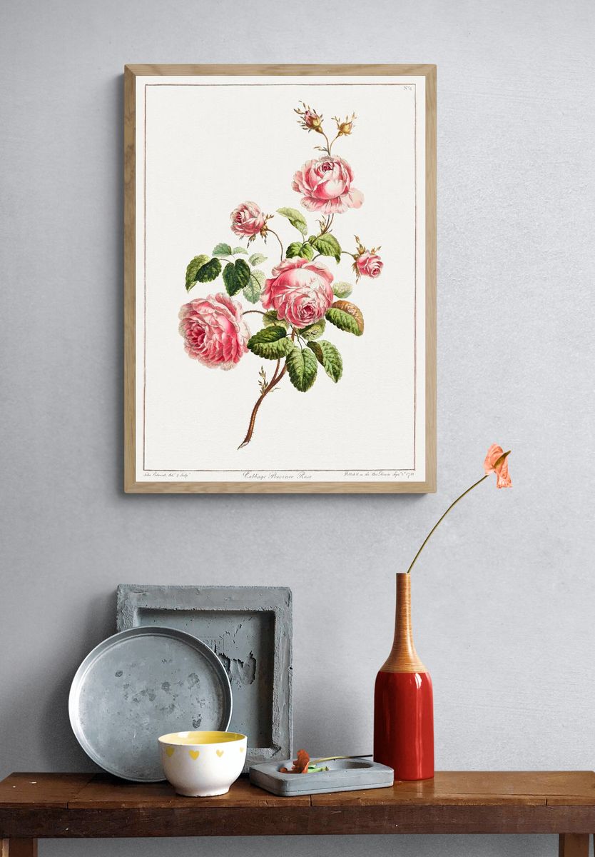 Collection Flowers Drawn Nature. — room view 3