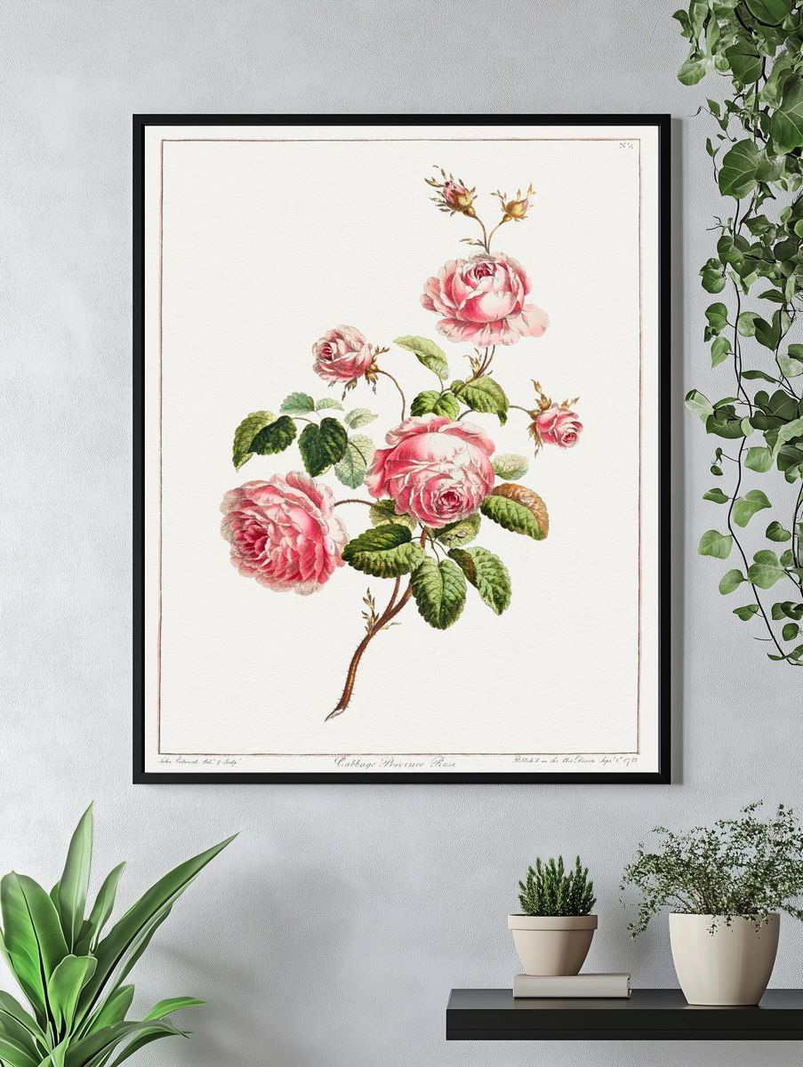 Collection Flowers Drawn Nature. — room view 4