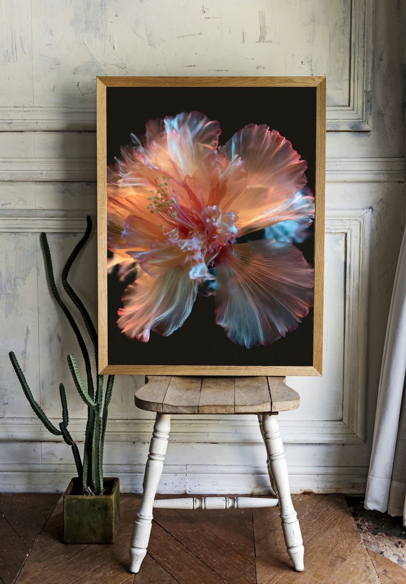 Glowing Hibiscus Bloom Photography Poster. — room view 1