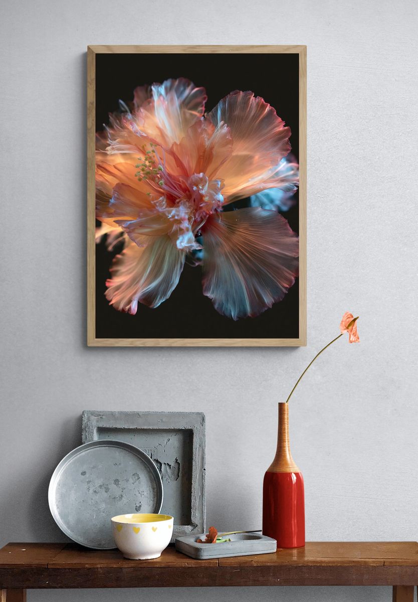Glowing Hibiscus Bloom Photography Poster. — room view 3