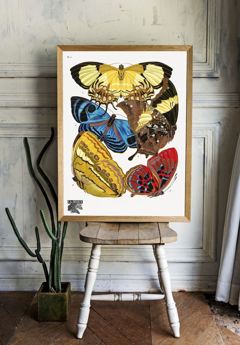 E.A. Séguy 's vintage butterflies. room preview