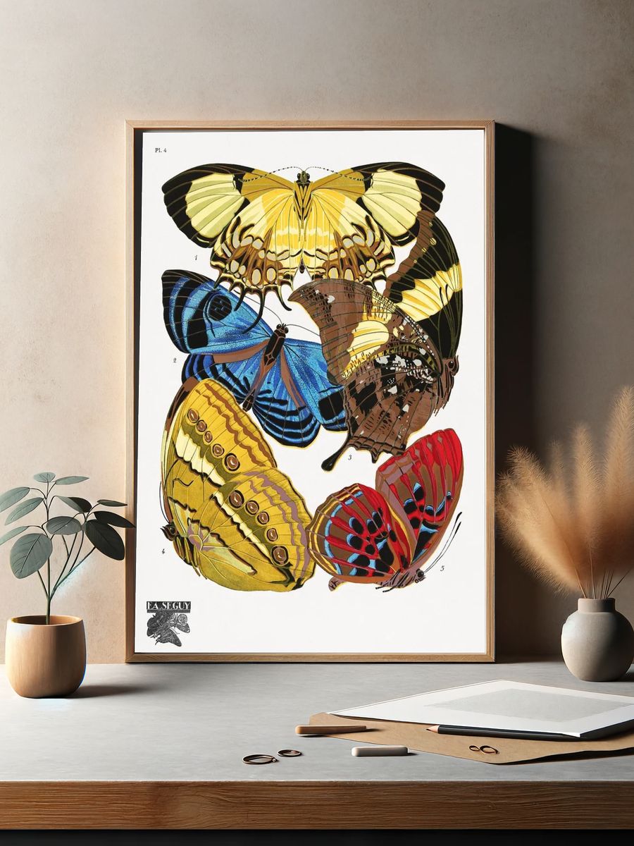 E.A. Séguy 's vintage butterflies. — room view 2