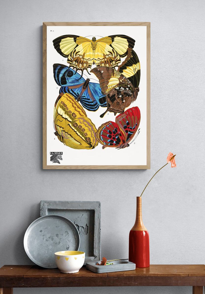E.A. Séguy 's vintage butterflies. — room view 3