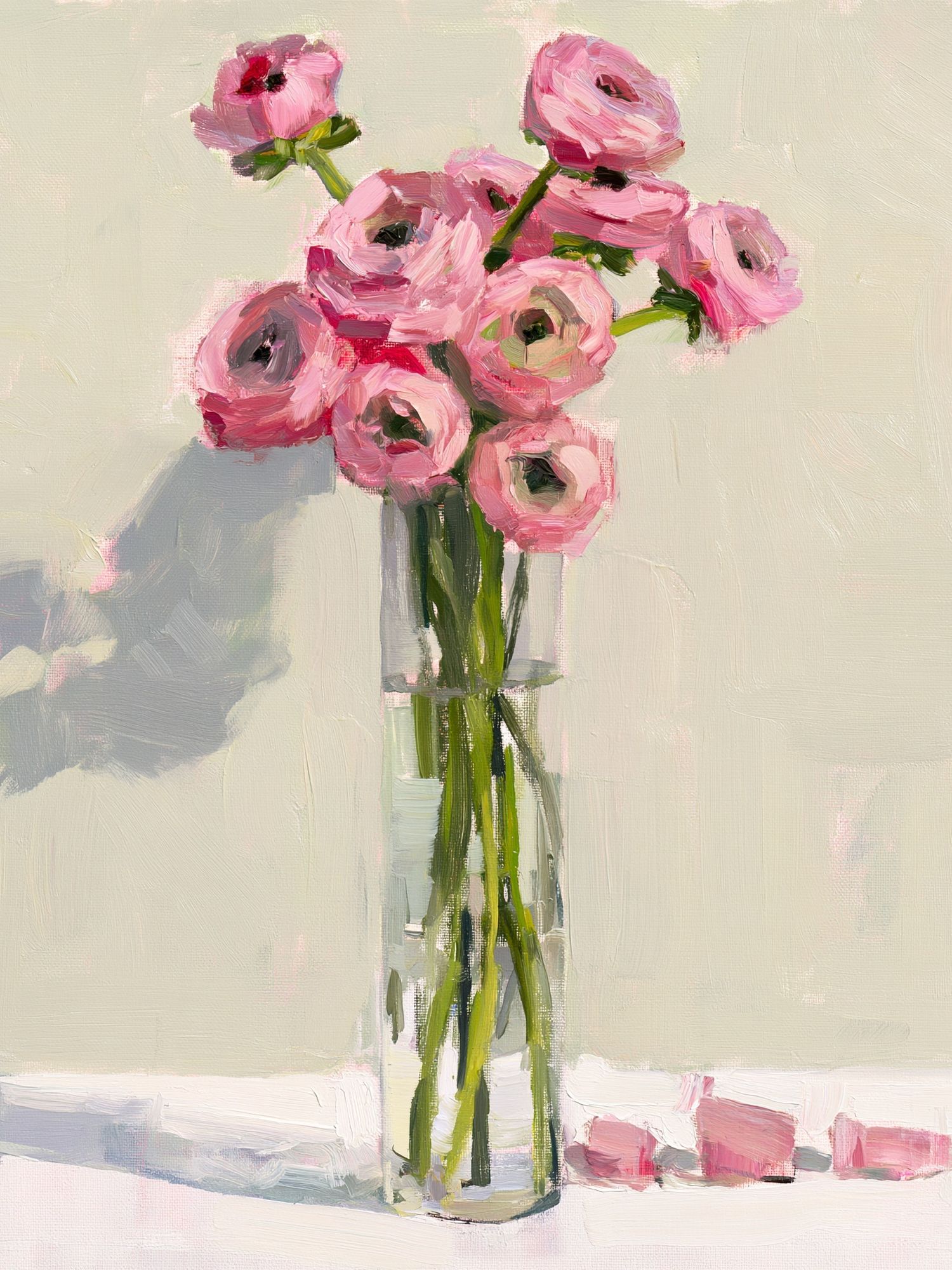 Pink Ranunculus Vase Illustration Poster. poster — botanical art