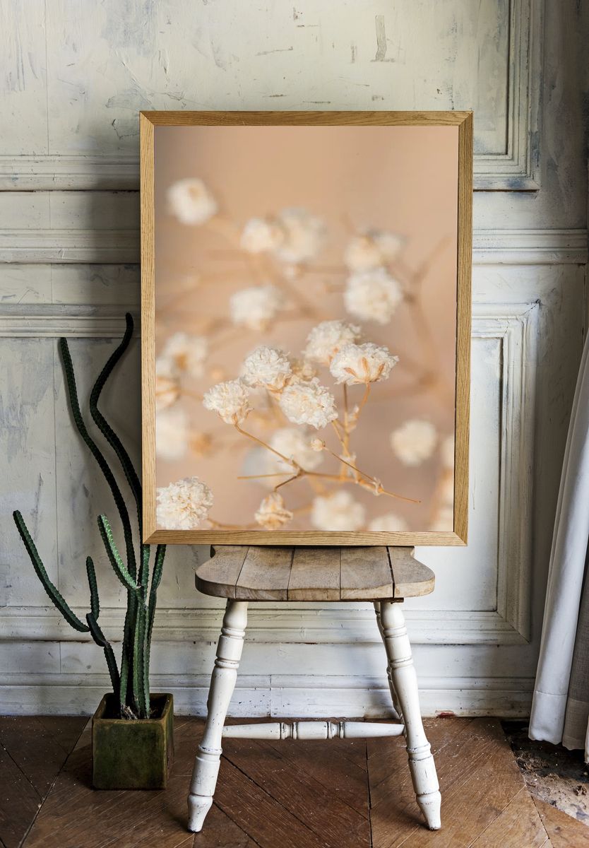 Dried gypsophila flowers macro shot. — room view 1