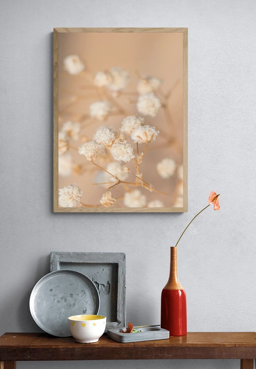 Dried gypsophila flowers macro shot. — room view 3