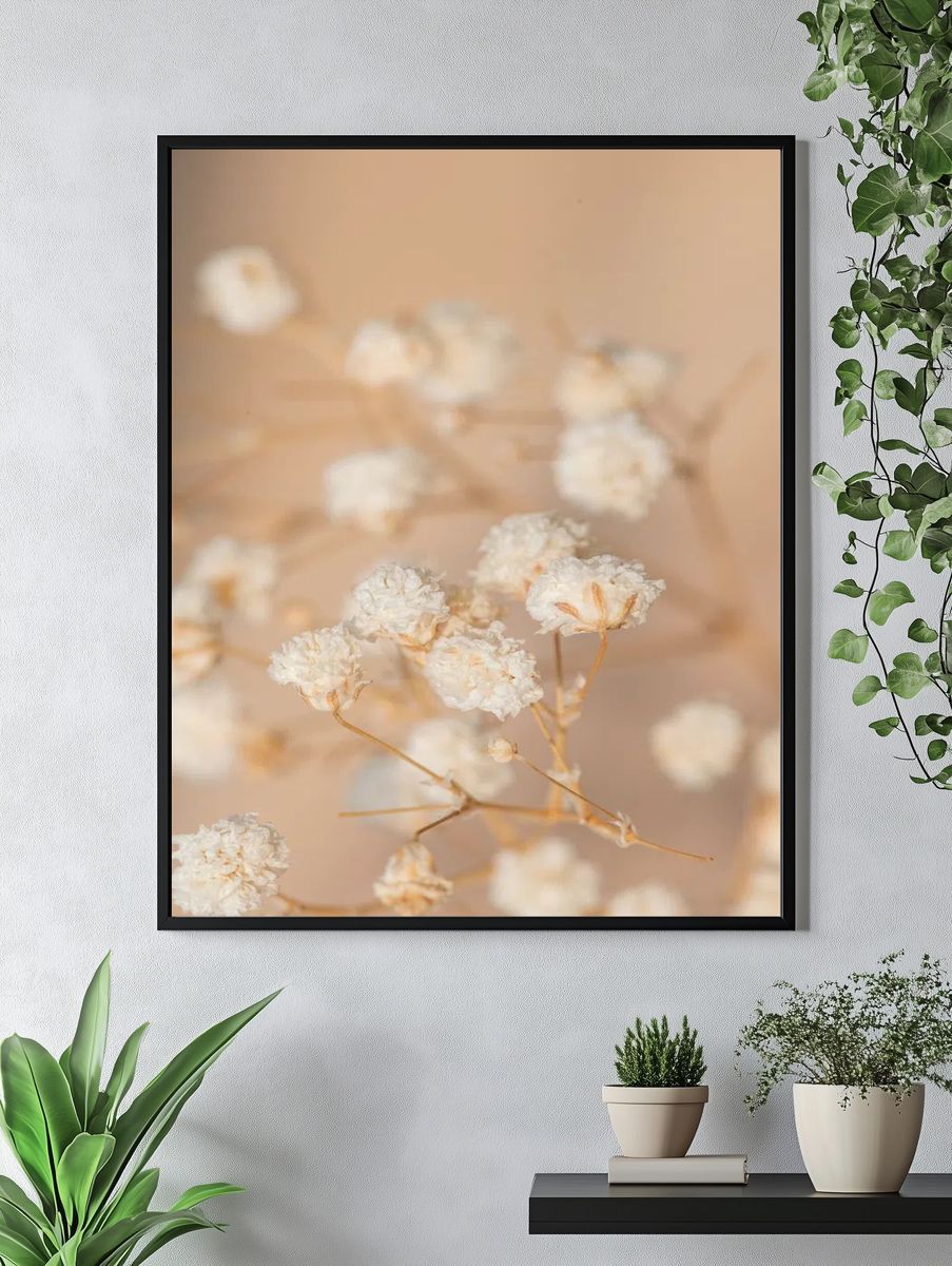 Dried gypsophila flowers macro shot. — room view 4