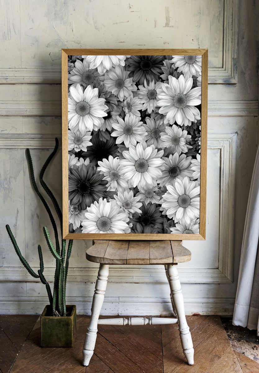 Black and White Daisy Floral Print. room preview