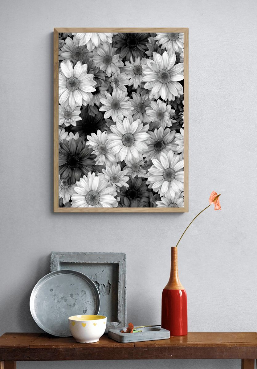 Black and White Daisy Floral Print. — room view 3