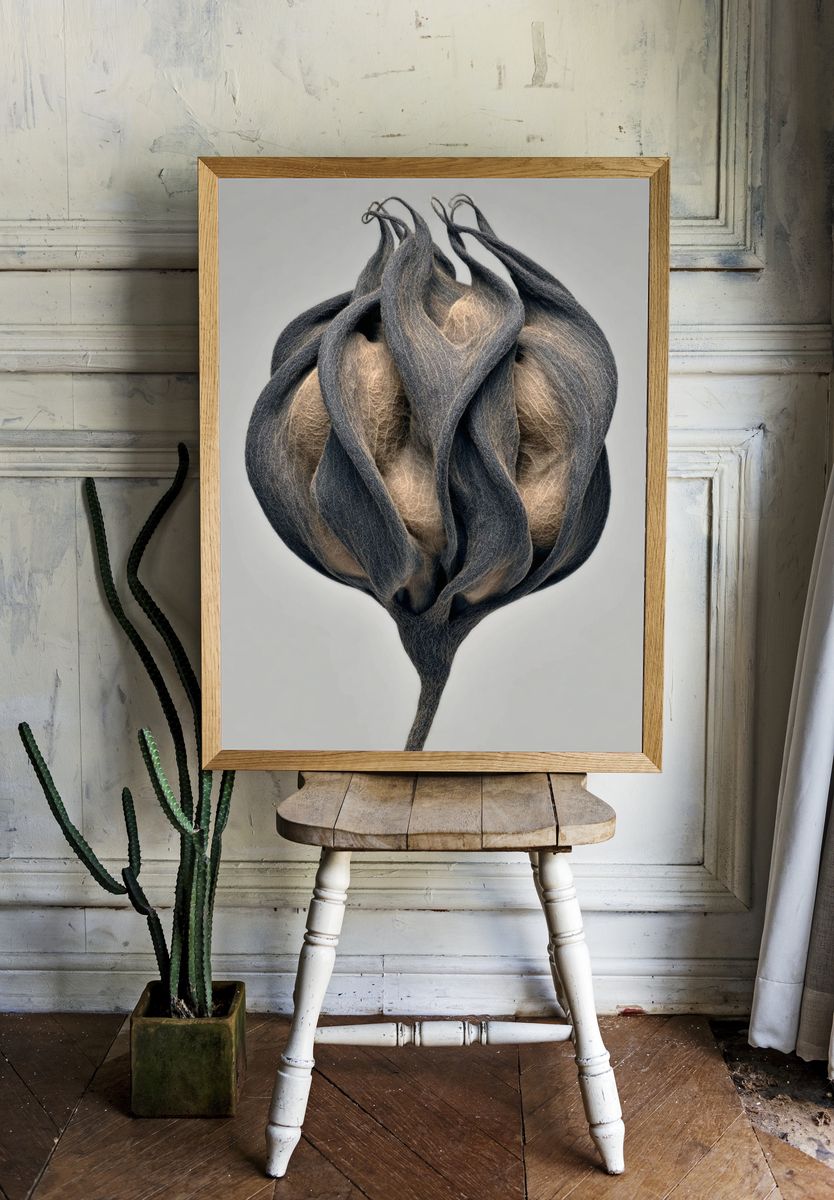 Abstract Seed Pod Print. room preview