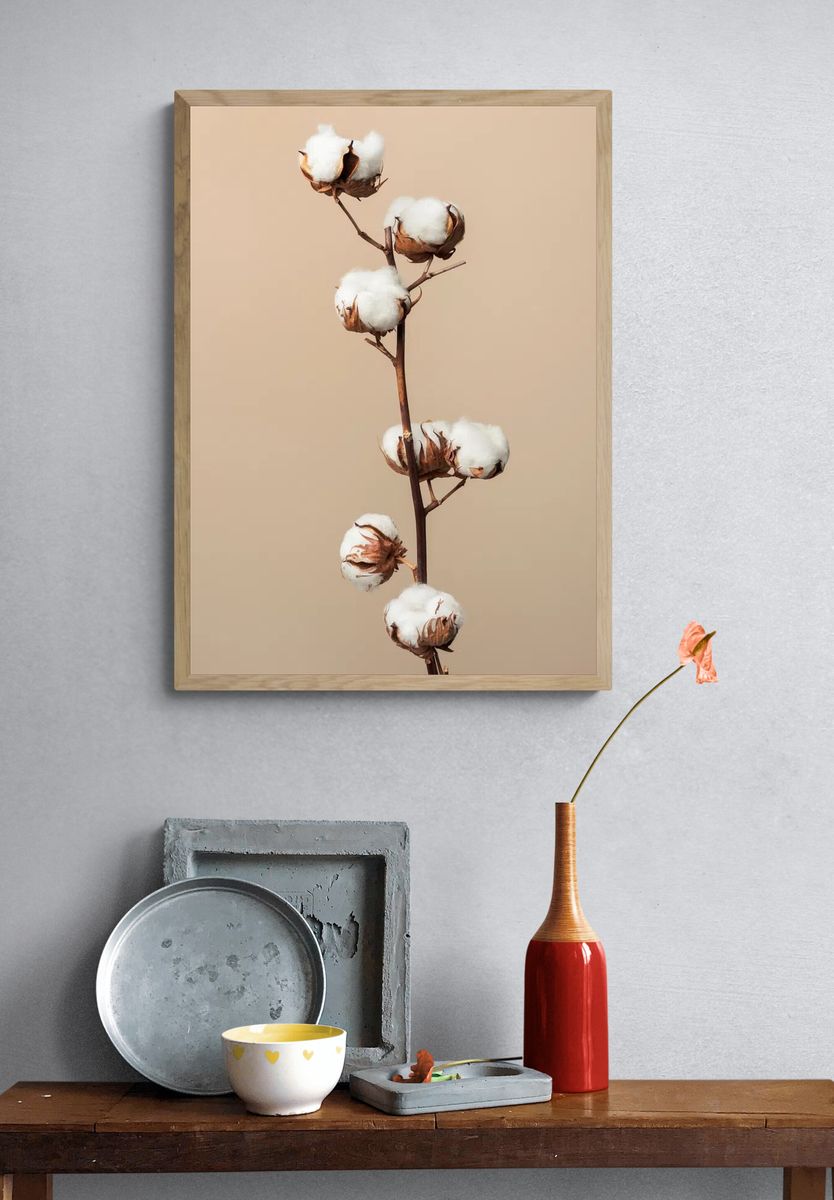 Dried fluffy cotton flower branch. — room view 3