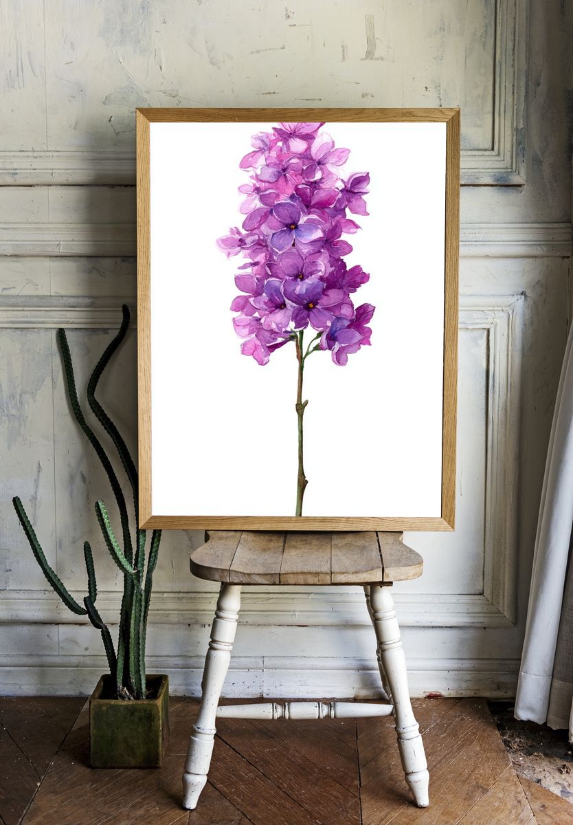 Purple Hydrangea Watercolor Print. room preview