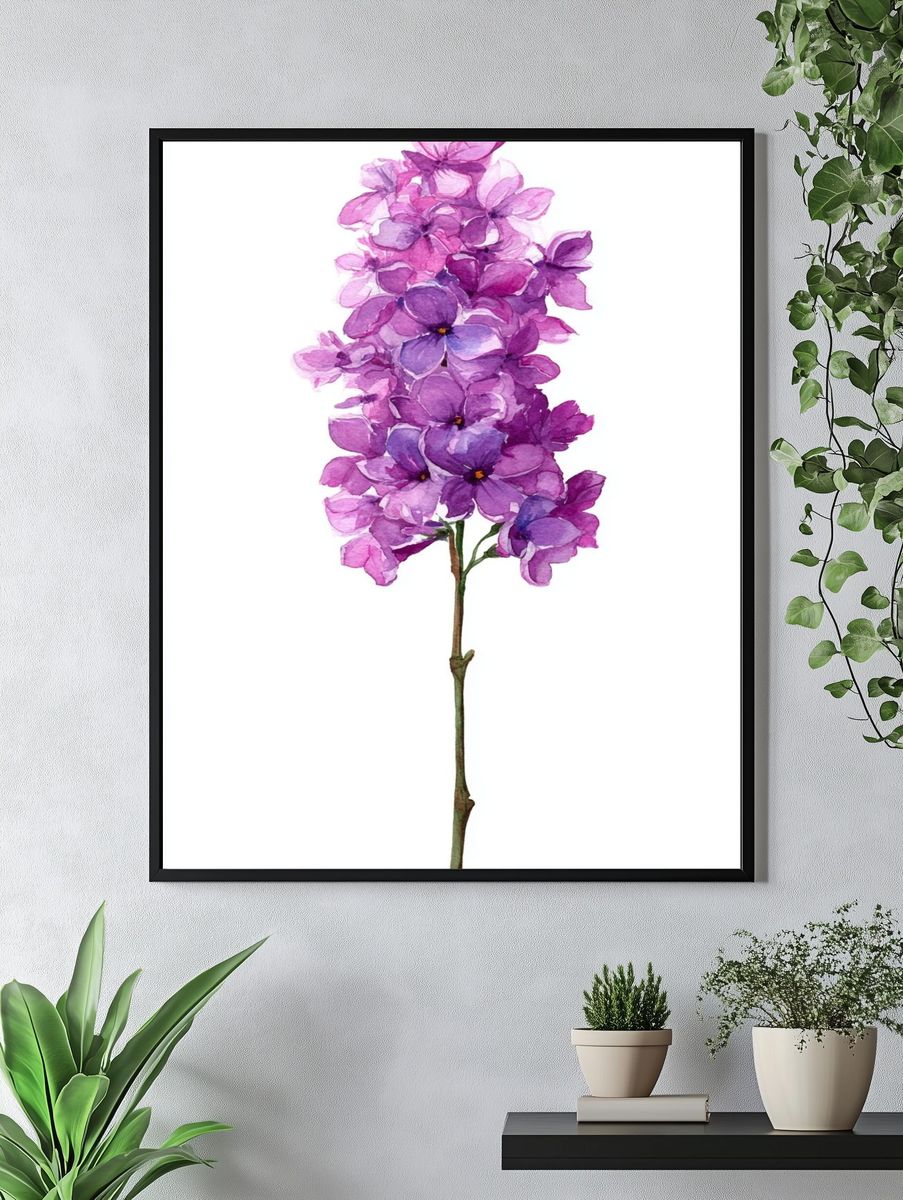 Purple Hydrangea Watercolor Print. — room view 4