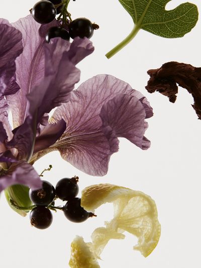 Botanical Still Life Photography Poster. poster