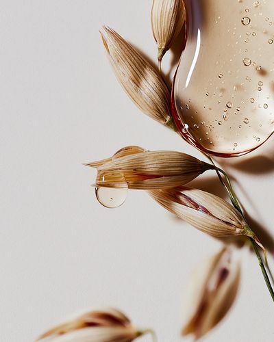 Dried Petals and Water Droplets Print.
