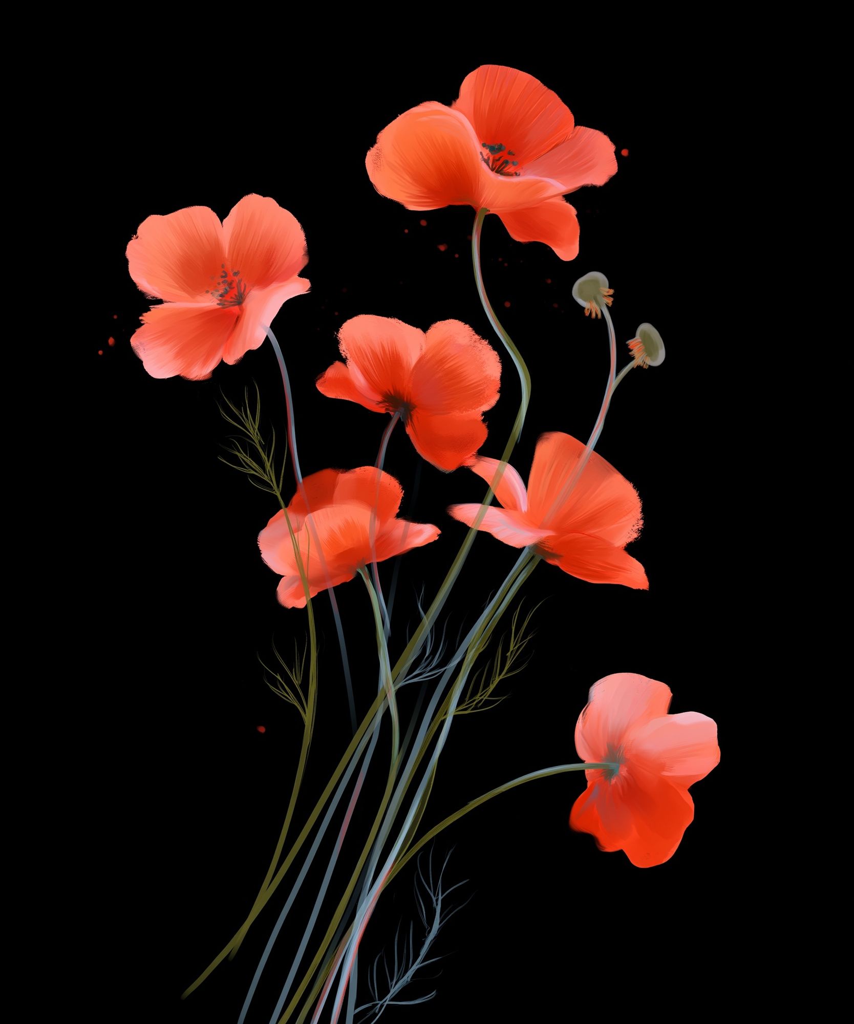 Coral Poppy Bloom Print. poster — botanical art