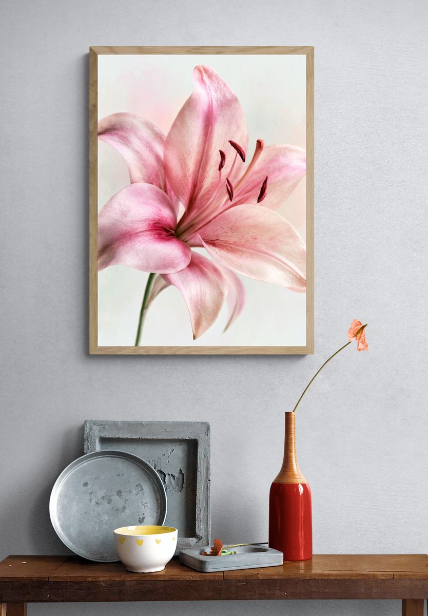 Pink Lily Botanical Print. — room view 3