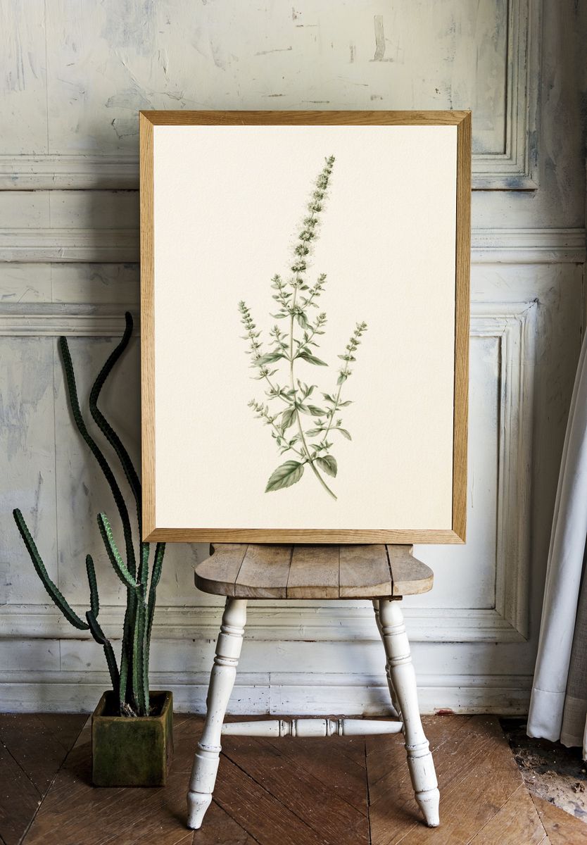 Botanical Herb Sprig Print. room preview