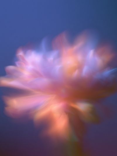 Dreamy Floral Blur Print. poster