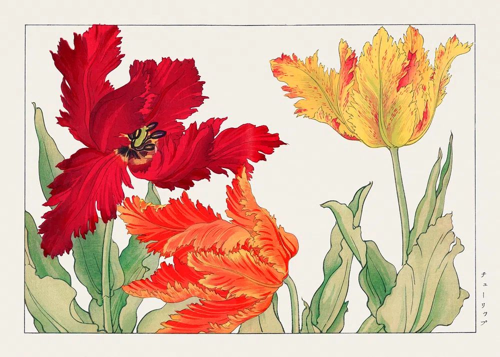 Parrot tulip, Japanese woodblock art. poster detail