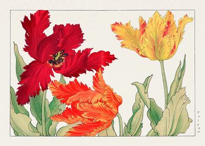Parrot tulip, Japanese woodblock art.