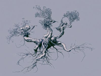 Ancient Tree Roots Illustration Poster. poster
