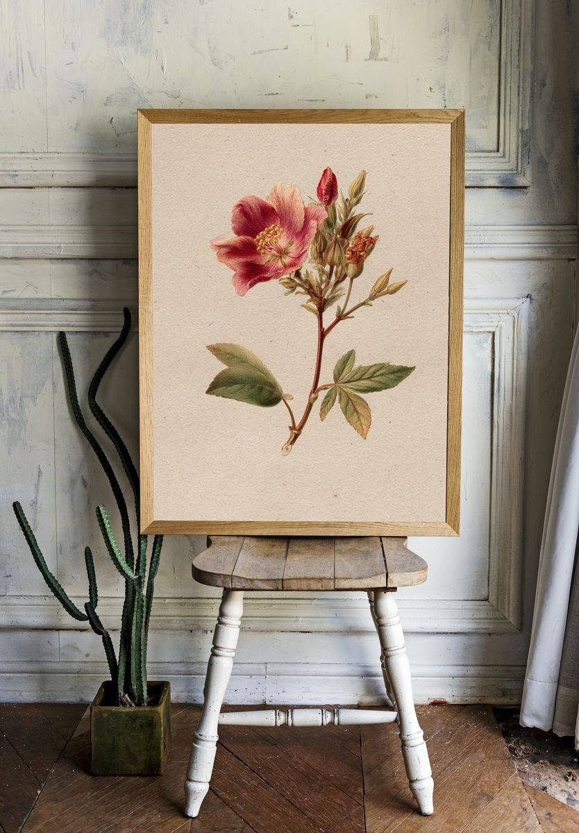 Vintage Pink Flower Botanical Print. — room view 1