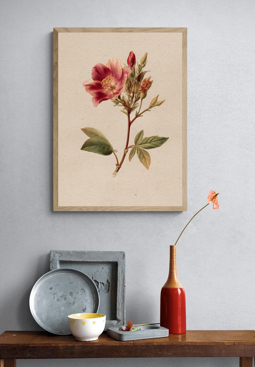 Vintage Pink Flower Botanical Print. — room view 3