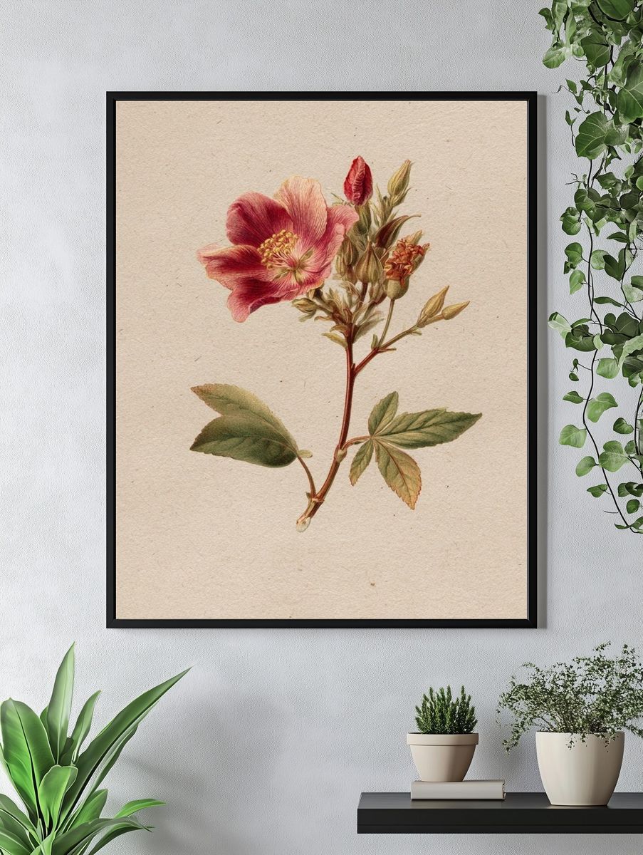 Vintage Pink Flower Botanical Print. — room view 4