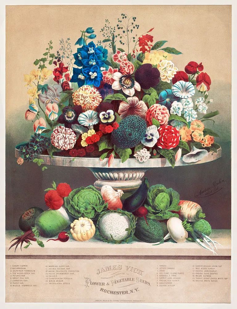 Flowers Vegetables (ca. 1800) byAnton. poster detail