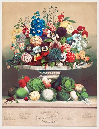 Flowers Vegetables (ca. 1800) byAnton. poster